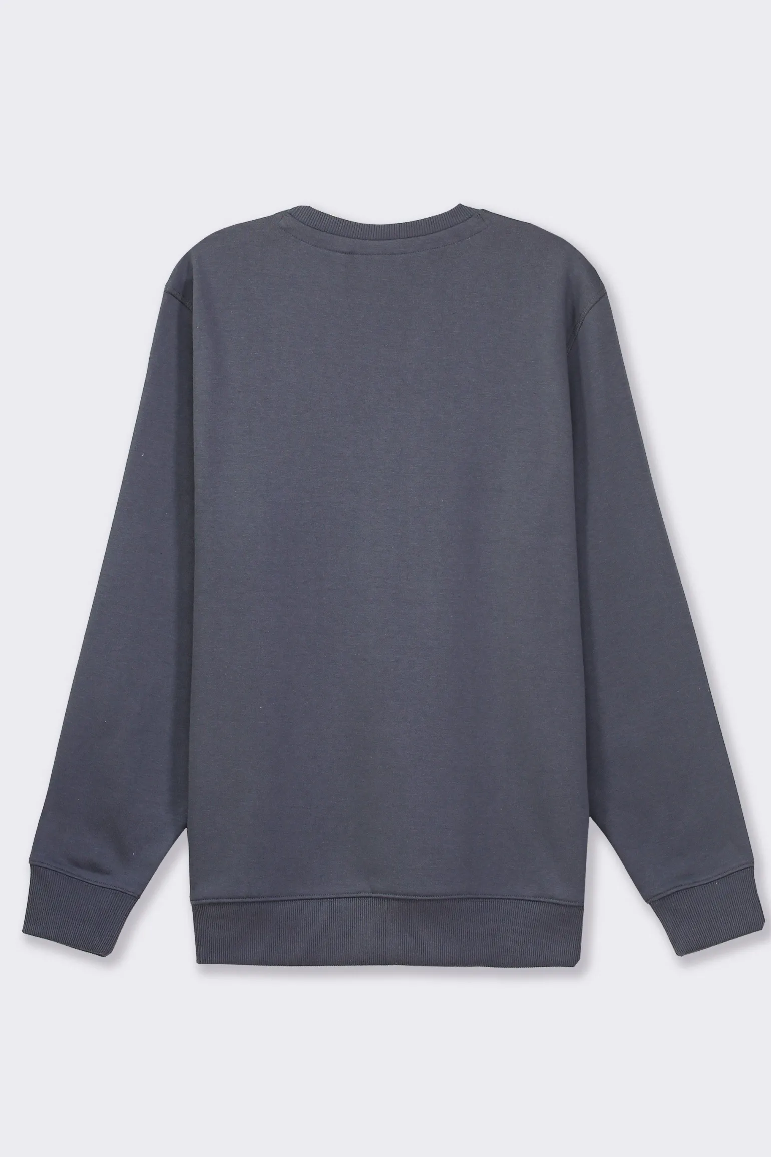 Uomo Piazza Italia Uomo | Felpe<Felpa basic regular fit in misto cotone garzato - Avion
