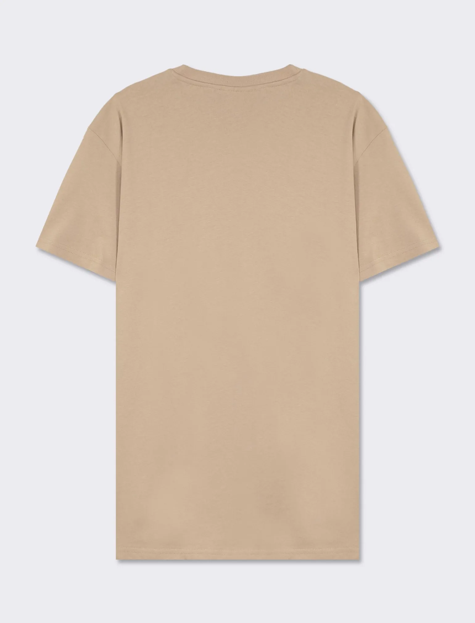 Uomo Piazza Italia Uomo | Polo E T-Shirt<T-shirt girocollo con stampa a contrasto sulle maniche regular fit - tortora